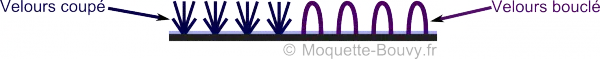 Schéma velours coupé et bouclé