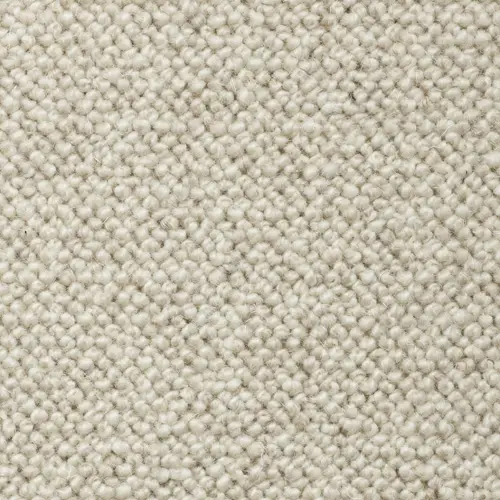 Moquette Corinne coloris Corinne 81